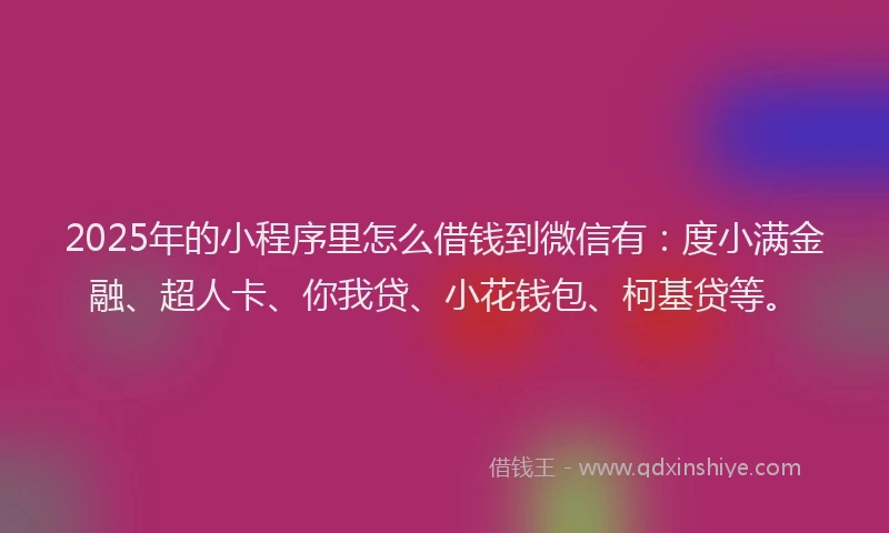 2025年的小程序里怎么借钱到微信有：度小满金融、超人卡、你我贷、小花钱包、柯基贷等。
