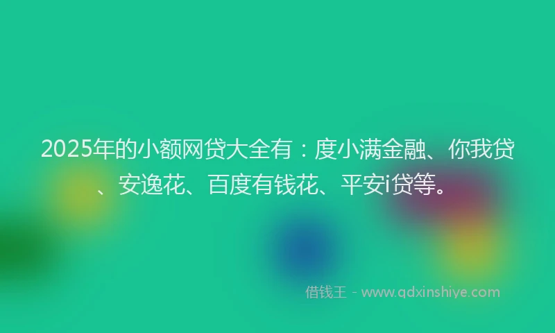 2025年的小额网贷大全有：度小满金融、你我贷、安逸花、百度有钱花、平安i贷等。