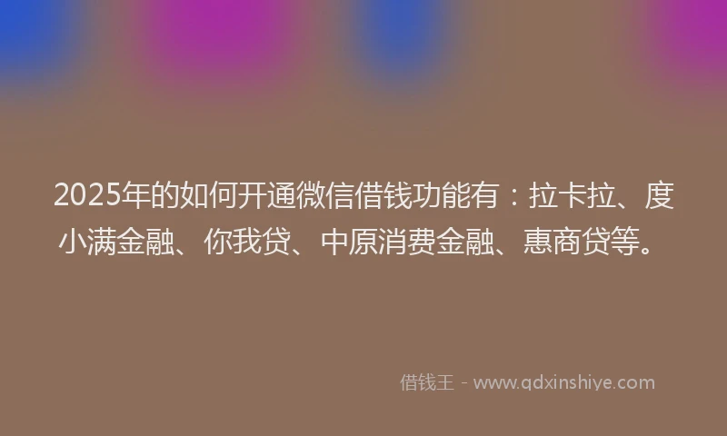 2025年的如何开通微信借钱功能有：拉卡拉、度小满金融、你我贷、中原消费金融、惠商贷等。