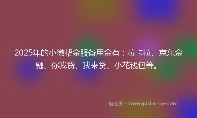 2025年的小微帮金服备用金有：拉卡拉、京东金融、你我贷、我来贷、小花钱包等。