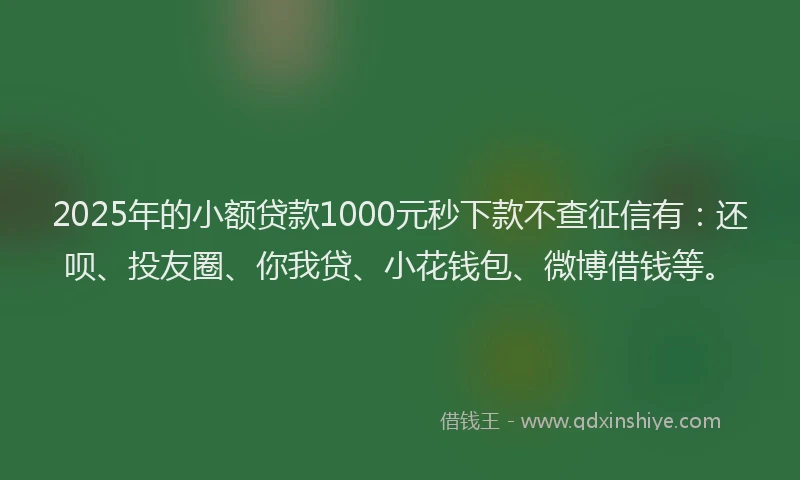 2025年的小额贷款1000元秒下款不查征信有：还呗、投友圈、你我贷、小花钱包、微博借钱等。