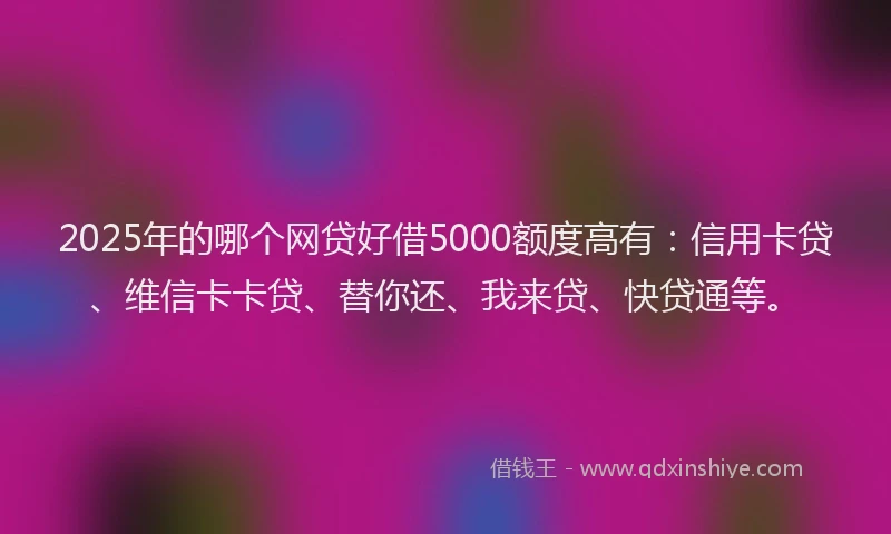 2025年的哪个网贷好借5000额度高有：信用卡贷、维信卡卡贷、替你还、我来贷、快贷通等。