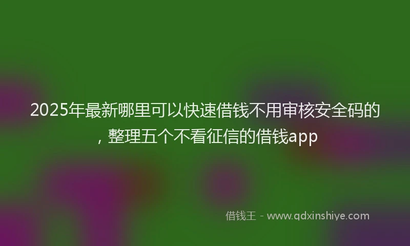 2025年最新哪里可以快速借钱不用审核安全码的，整理五个不看征信的借钱app