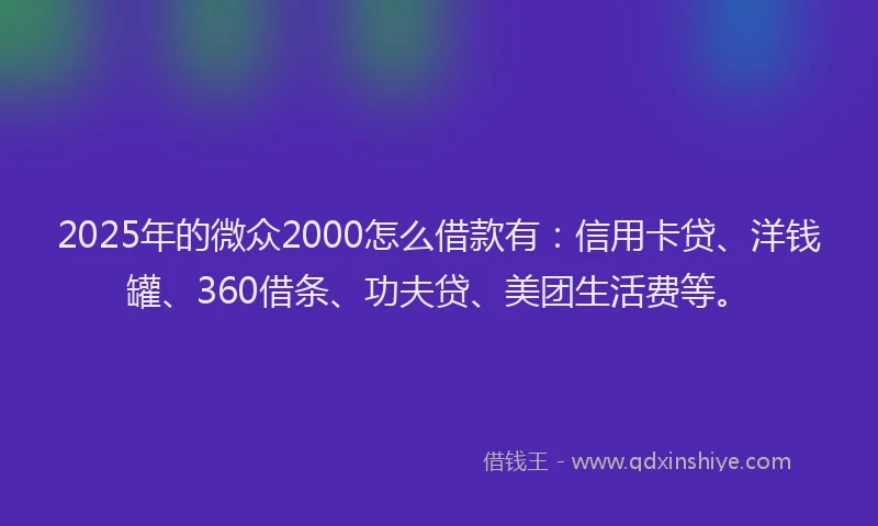 2025年的微众2000怎么借款有：信用卡贷、洋钱罐、360借条、功夫贷、美团生活费等。