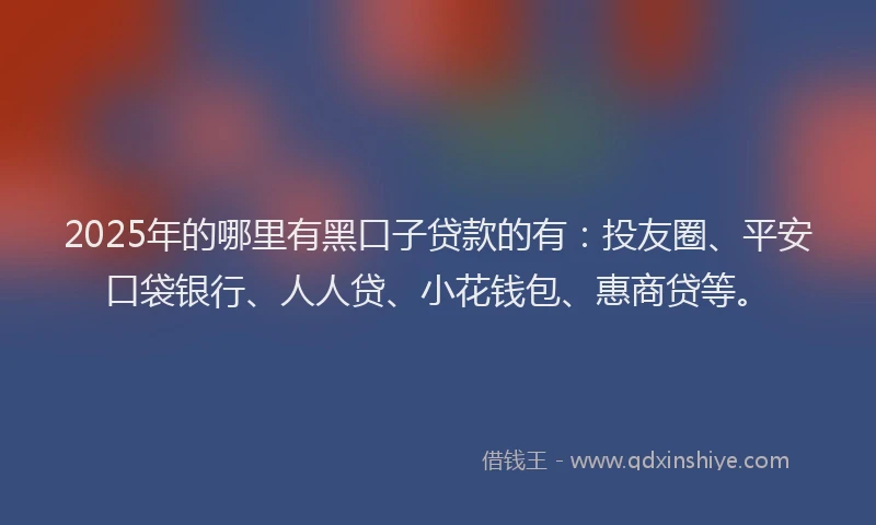2025年的哪里有黑口子贷款的有：投友圈、平安口袋银行、人人贷、小花钱包、惠商贷等。