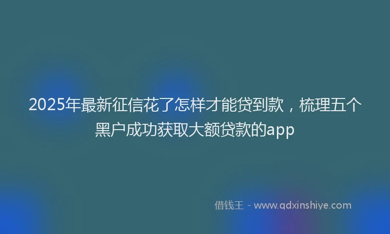 2025年最新征信花了怎样才能贷到款，梳理五个黑户成功获取大额贷款的app