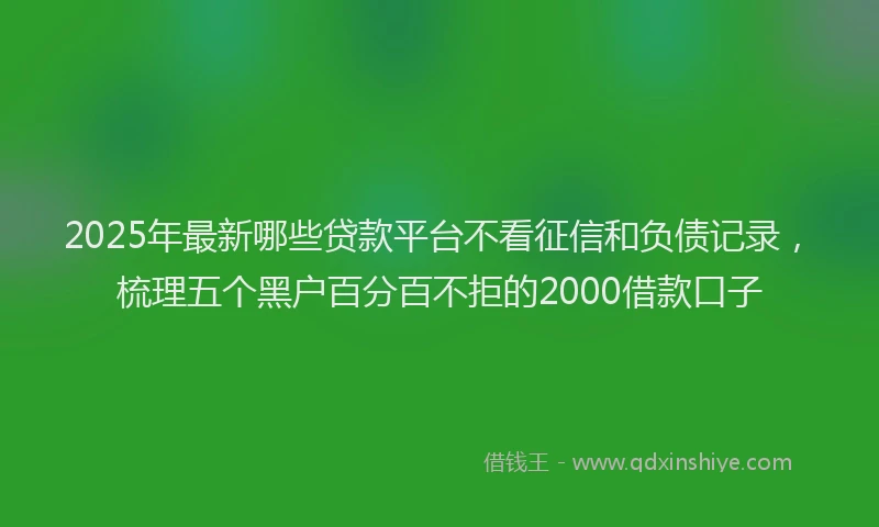 2025年最新哪些贷款平台不看征信和负债记录，梳理五个黑户百分百不拒的2000借款口子