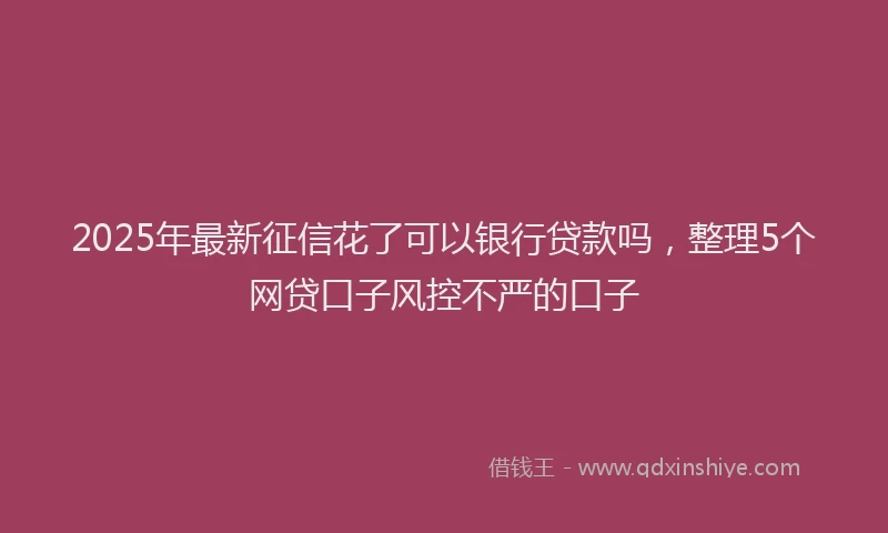 2025年最新征信花了可以银行贷款吗，整理5个网贷口子风控不严的口子
