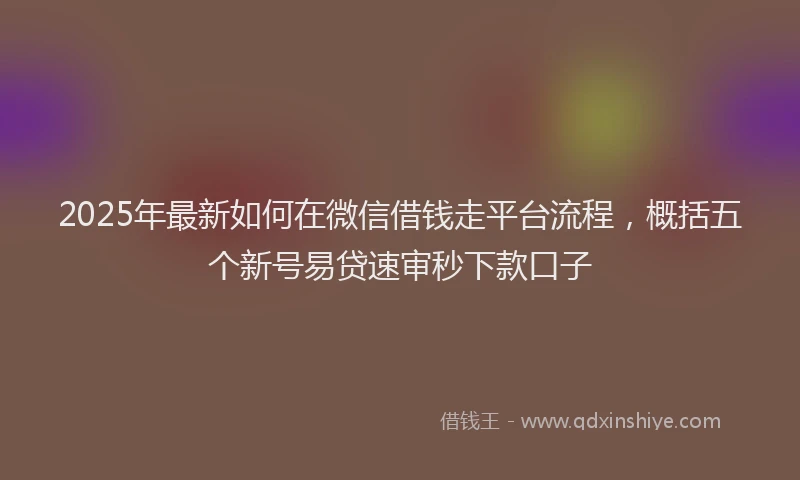 2025年最新如何在微信借钱走平台流程，概括五个新号易贷速审秒下款口子