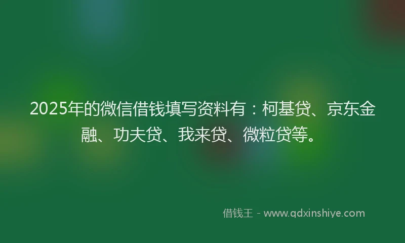 2025年的微信借钱填写资料有：柯基贷、京东金融、功夫贷、我来贷、微粒贷等。