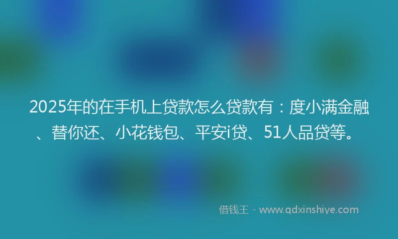 2025年的在手机上贷款怎么贷款有：度小满金融、替你还、小花钱包、平安i贷、51人品贷等。