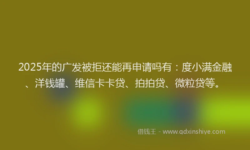 2025年的广发被拒还能再申请吗有：度小满金融、洋钱罐、维信卡卡贷、拍拍贷、微粒贷等。