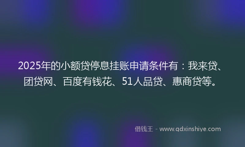 2025年的小额贷停息挂账申请条件有：我来贷、团贷网、百度有钱花、51人品贷、惠商贷等。