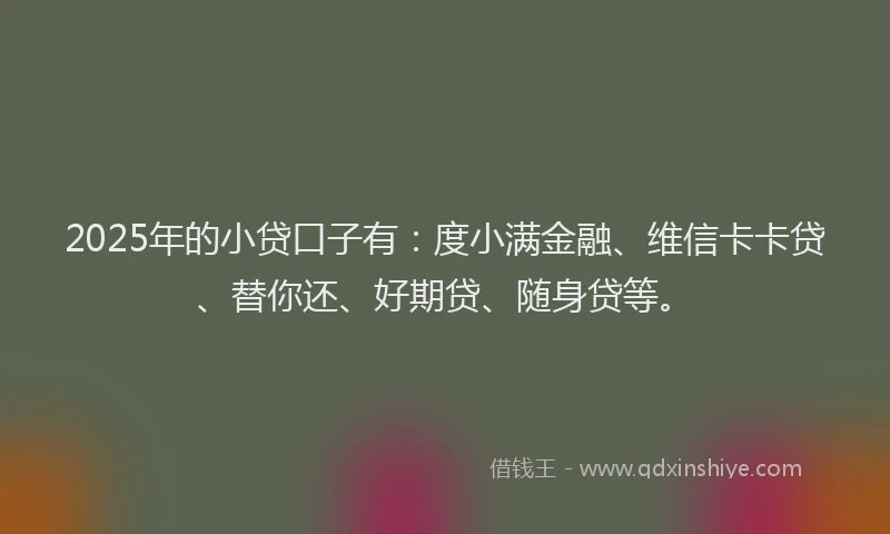 2025年的小贷口子有：度小满金融、维信卡卡贷、替你还、好期贷、随身贷等。