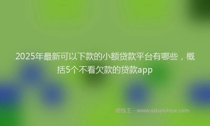 2025年最新可以下款的小额贷款平台有哪些，概括5个不看欠款的贷款app