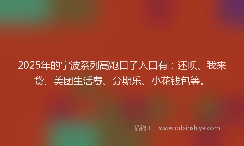 2025年的宁波系列高炮口子入口有：还呗、我来贷、美团生活费、分期乐、小花钱包等。