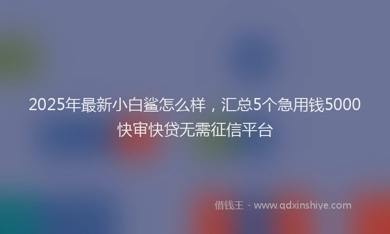 2025年最新小白鲨怎么样，汇总5个急用钱5000快审快贷无需征信平台