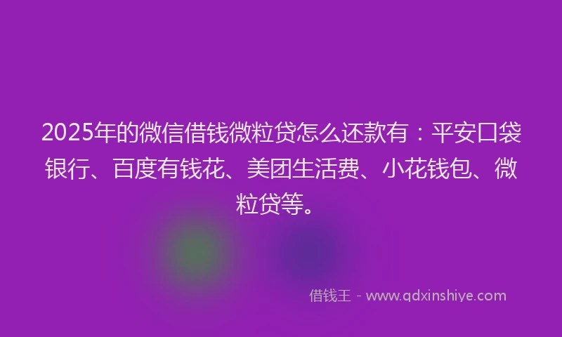 2025年的微信借钱微粒贷怎么还款有：平安口袋银行、百度有钱花、美团生活费、小花钱包、微粒贷等。
