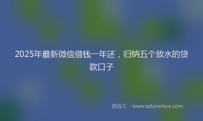 2025年最新微信借钱一年还，归纳五个放水的贷款口子