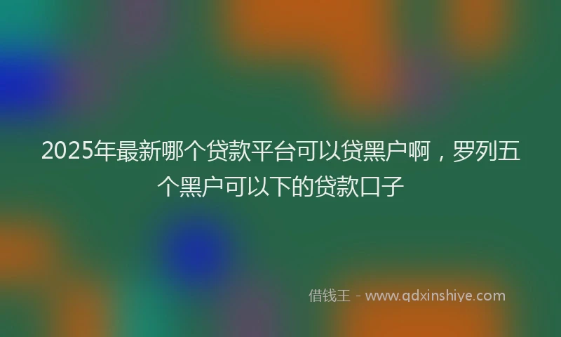 2025年最新哪个贷款平台可以贷黑户啊，罗列五个黑户可以下的贷款口子