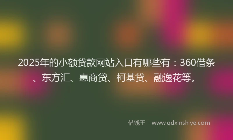 2025年的小额贷款网站入口有哪些有：360借条、东方汇、惠商贷、柯基贷、融逸花等。