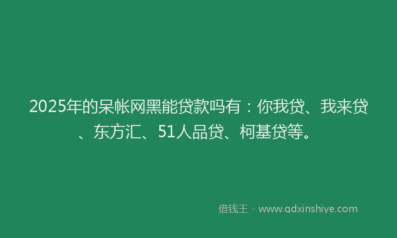 2025年的呆帐网黑能贷款吗有：你我贷、我来贷、东方汇、51人品贷、柯基贷等。