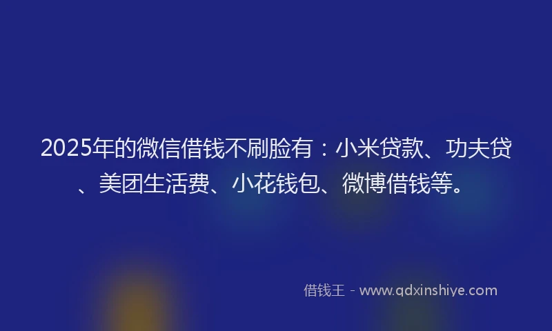 2025年的微信借钱不刷脸有：小米贷款、功夫贷、美团生活费、小花钱包、微博借钱等。