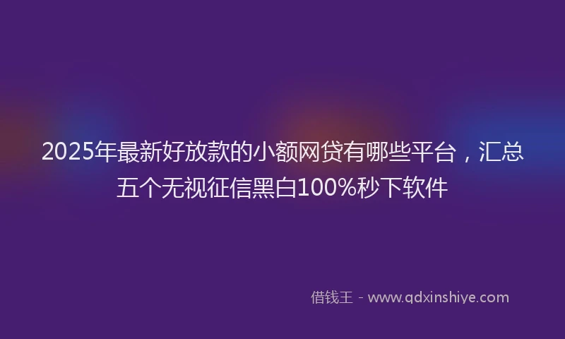 2025年最新好放款的小额网贷有哪些平台，汇总五个无视征信黑白100%秒下软件