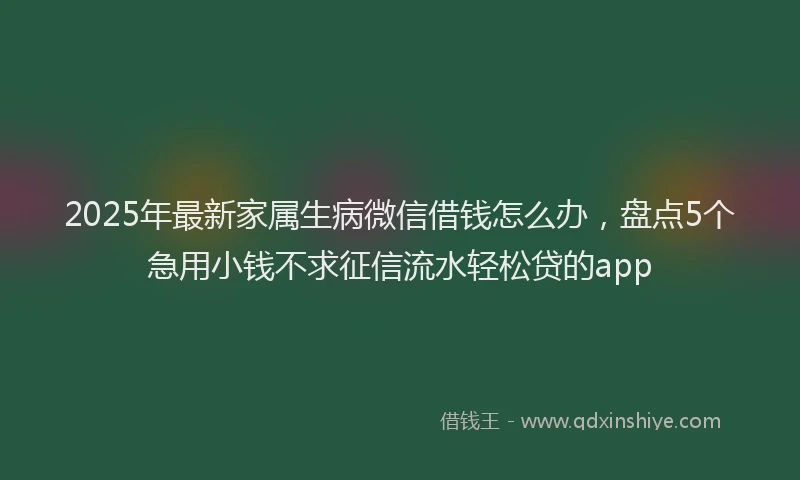 2025年最新家属生病微信借钱怎么办，盘点5个急用小钱不求征信流水轻松贷的app