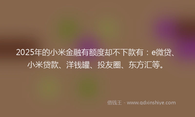 2025年的小米金融有额度却不下款有：e微贷、小米贷款、洋钱罐、投友圈、东方汇等。