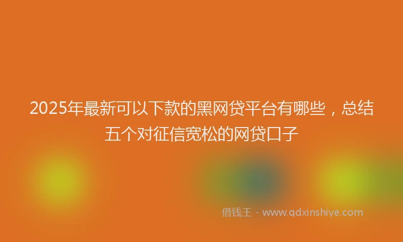 2025年最新可以下款的黑网贷平台有哪些，总结五个对征信宽松的网贷口子