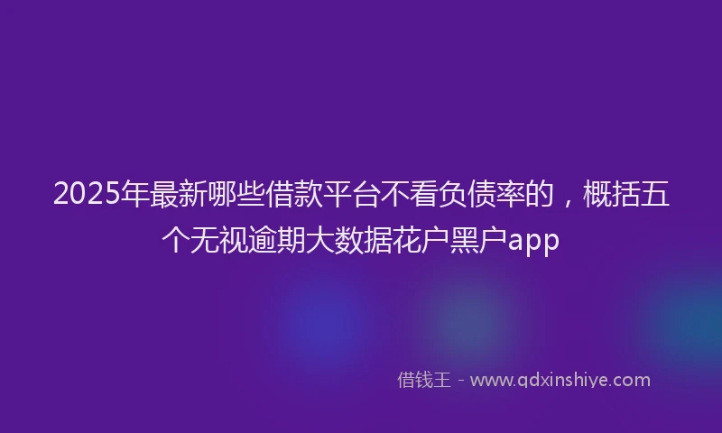 2025年最新哪些借款平台不看负债率的，概括五个无视逾期大数据花户黑户app