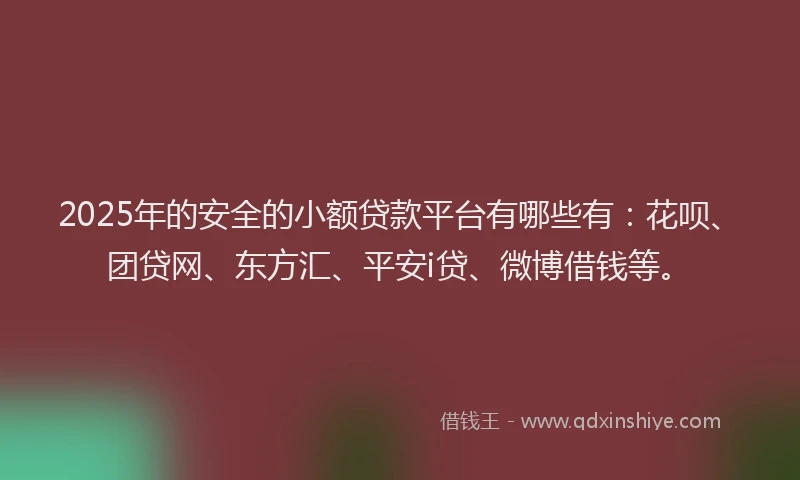 2025年的安全的小额贷款平台有哪些有：花呗、团贷网、东方汇、平安i贷、微博借钱等。
