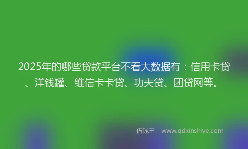 2025年的哪些贷款平台不看大数据有：信用卡贷、洋钱罐、维信卡卡贷、功夫贷、团贷网等。
