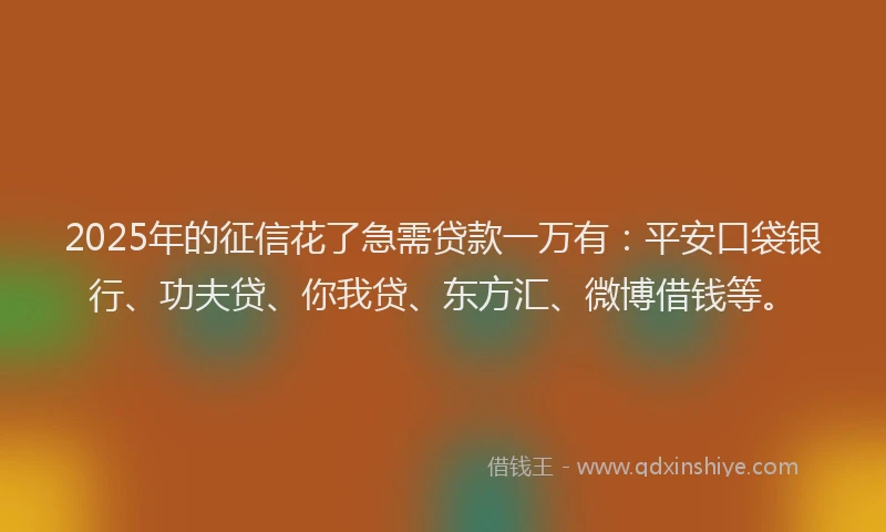 2025年的征信花了急需贷款一万有：平安口袋银行、功夫贷、你我贷、东方汇、微博借钱等。