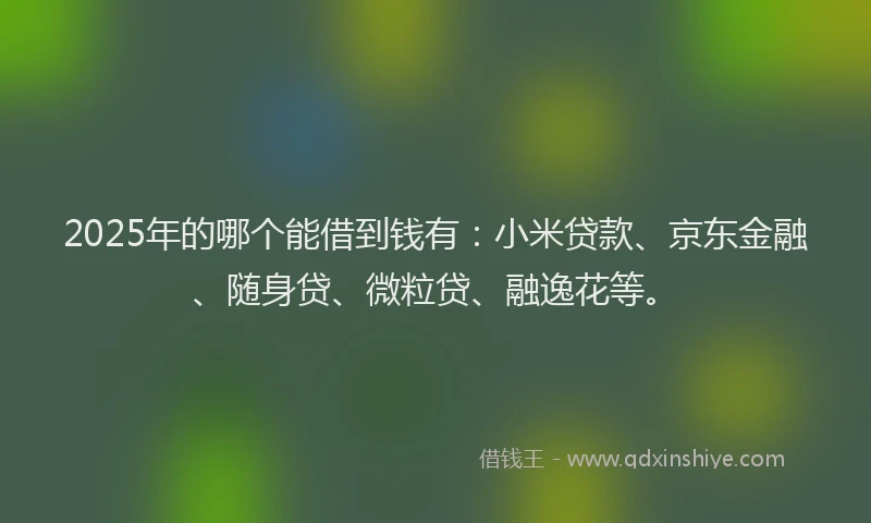 2025年的哪个能借到钱有：小米贷款、京东金融、随身贷、微粒贷、融逸花等。