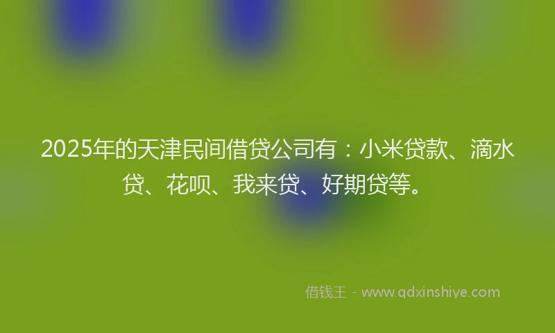 2025年的天津民间借贷公司有：小米贷款、滴水贷、花呗、我来贷、好期贷等。