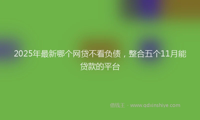 2025年最新哪个网贷不看负债，整合五个11月能贷款的平台