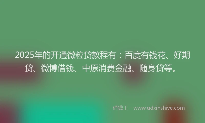 2025年的开通微粒贷教程有：百度有钱花、好期贷、微博借钱、中原消费金融、随身贷等。
