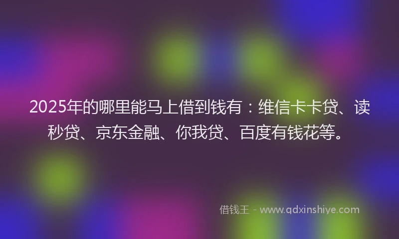 2025年的哪里能马上借到钱有：维信卡卡贷、读秒贷、京东金融、你我贷、百度有钱花等。