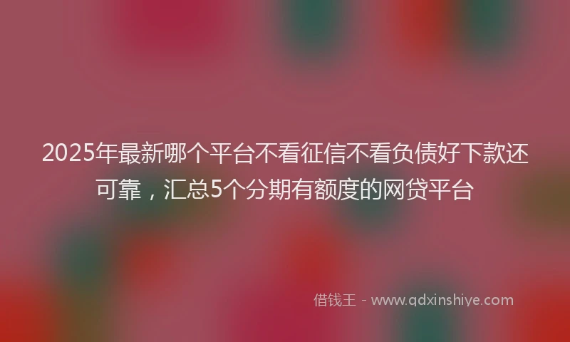 2025年最新哪个平台不看征信不看负债好下款还可靠，汇总5个分期有额度的网贷平台