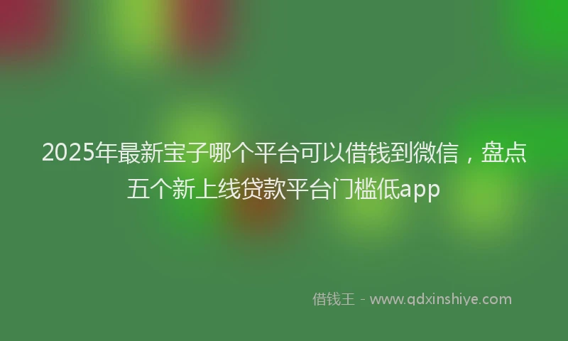 2025年最新宝子哪个平台可以借钱到微信，盘点五个新上线贷款平台门槛低app