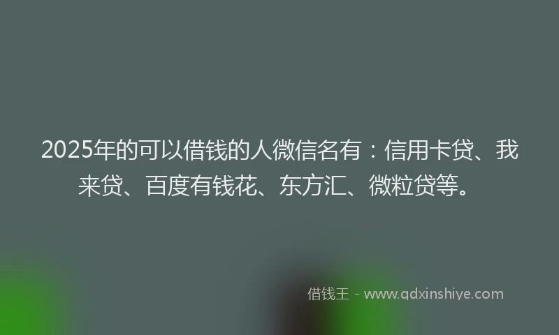 2025年的可以借钱的人微信名有：信用卡贷、我来贷、百度有钱花、东方汇、微粒贷等。