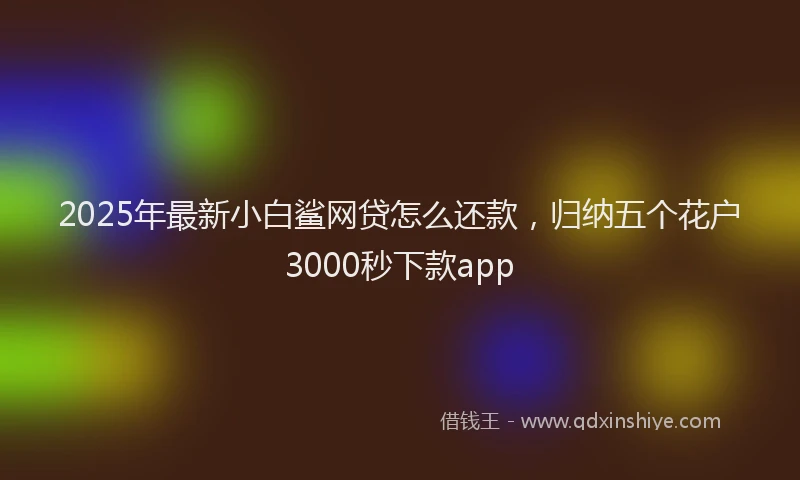 2025年最新小白鲨网贷怎么还款，归纳五个花户3000秒下款app
