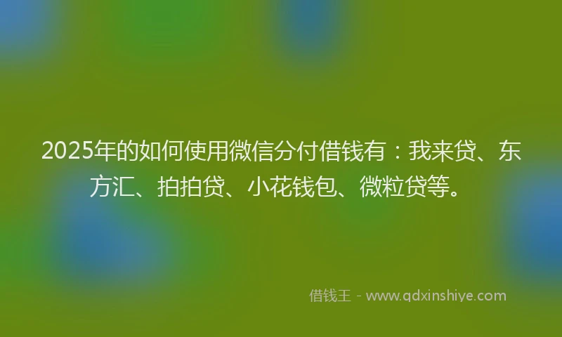 2025年的如何使用微信分付借钱有：我来贷、东方汇、拍拍贷、小花钱包、微粒贷等。