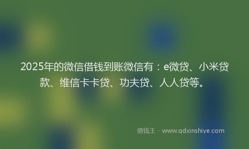 2025年的微信借钱到账微信有：e微贷、小米贷款、维信卡卡贷、功夫贷、人人贷等。