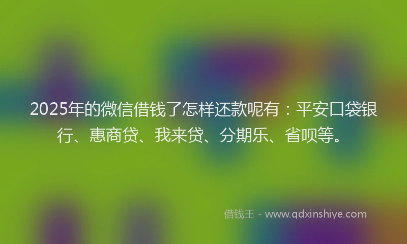 2025年的微信借钱了怎样还款呢有：平安口袋银行、惠商贷、我来贷、分期乐、省呗等。
