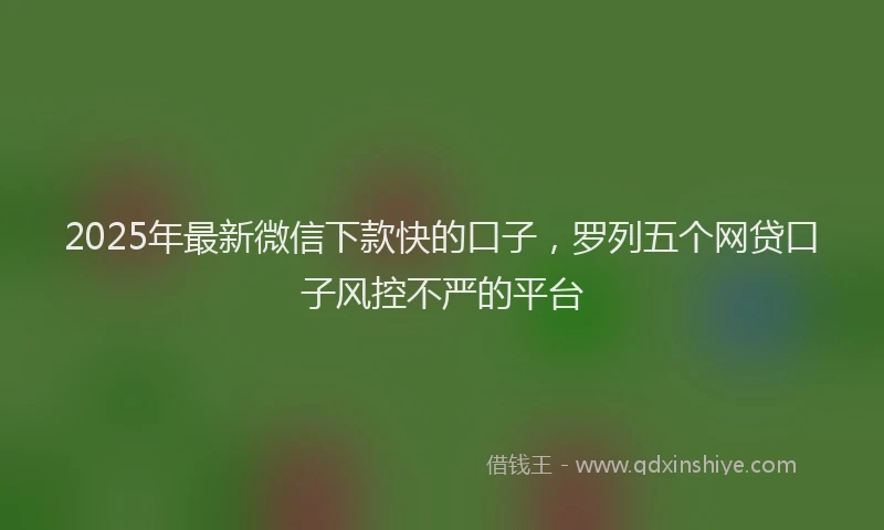 2025年最新微信下款快的口子，罗列五个网贷口子风控不严的平台