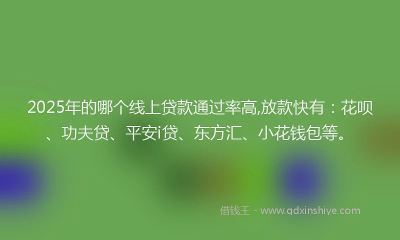 2025年的哪个线上贷款通过率高,放款快有：花呗、功夫贷、平安i贷、东方汇、小花钱包等。
