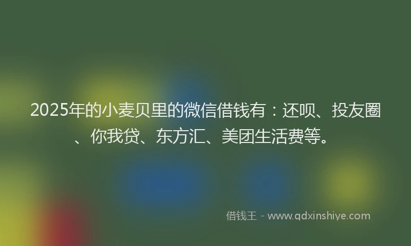 2025年的小麦贝里的微信借钱有：还呗、投友圈、你我贷、东方汇、美团生活费等。